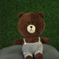 Brown Teddy